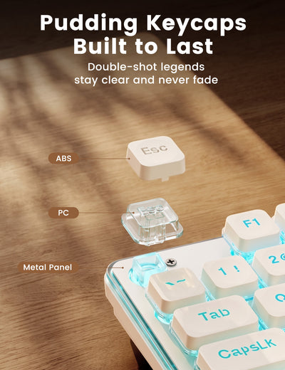 Wireless Keyboard and Mouse Combo, RGB Backlit, 10 Effects, Pudding Keycaps, Full Size, Double-Shot Keycaps, Metal Panel, Rechargeable, Long-Lasting Battery, 2.4GHz Stable Wireless, USB-C Adapter
